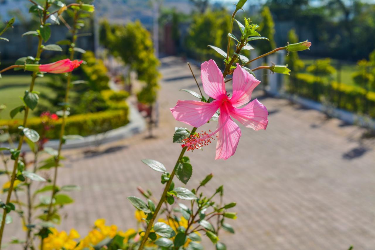 Tiger Hill Homestay Udaipur Kültér fotó